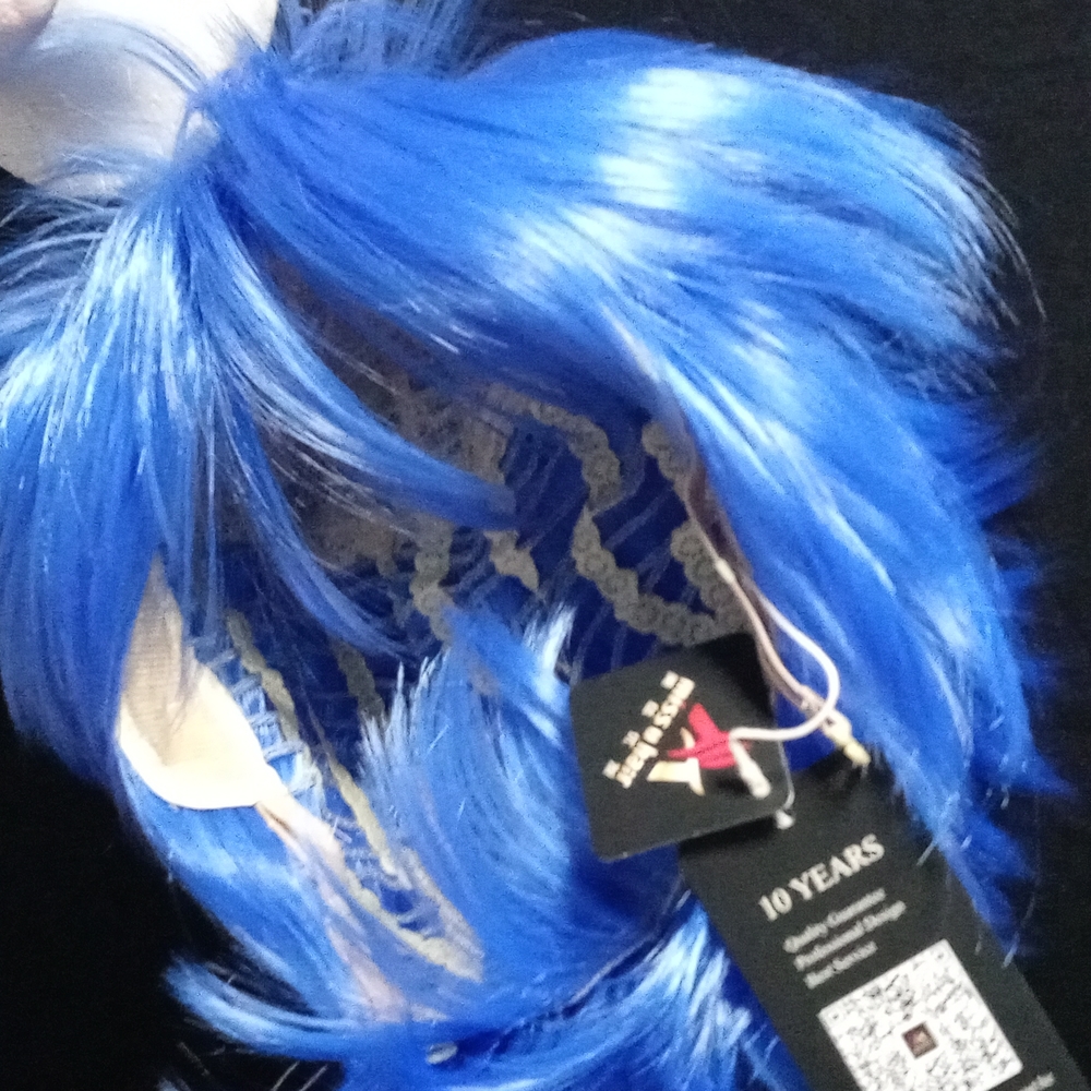 blue wig - Picture 6 of 7